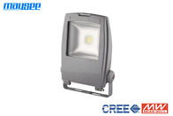 Epistar COB Chip 10W RGB LED overstroming licht Outdoor IP65 voor landschap verlichting
